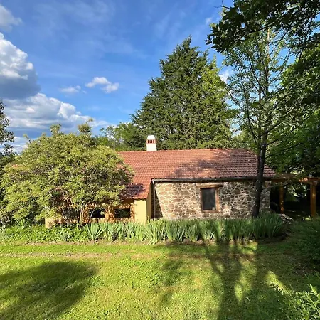 Quinta Da Mata De Baixo Gospodarstwo agroturystyczne