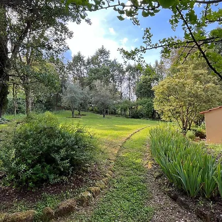 Quinta Da Mata De Baixo Farmház *