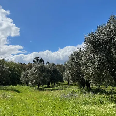 Quinta Da Mata De Baixo Farmház Dornes