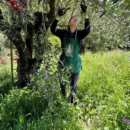 Quinta Da Mata De Baixo Dornes