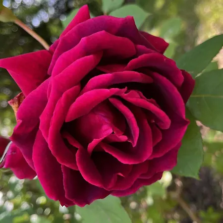 Quinta Da Mata De Baixo Farm stay *