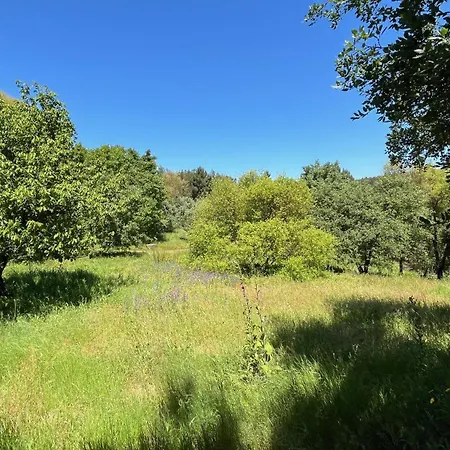 Quinta Da Mata De Baixo Farmház *