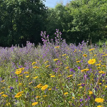 Agroturismo Quinta Da Mata De Baixo