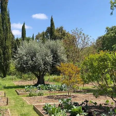 Quinta Da Mata De Baixo Dornes