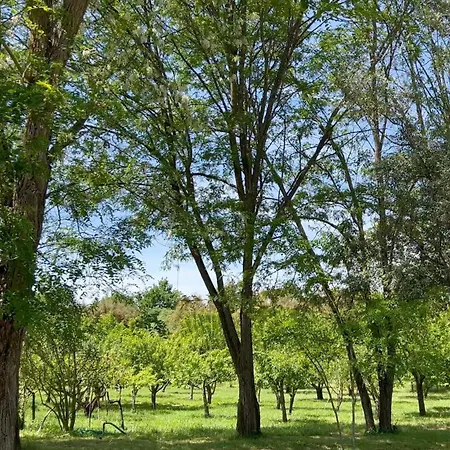 Farm stay Quinta Da Mata De Baixo