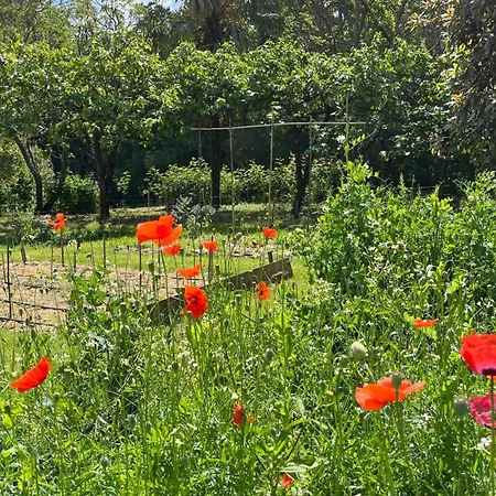 Quinta Da Mata De Baixo Agroturismo Dornes