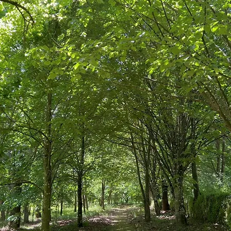 Quinta Da Mata De Baixo Farmház