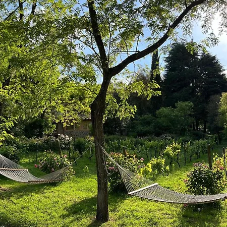 Agroturismo Quinta Da Mata De Baixo *