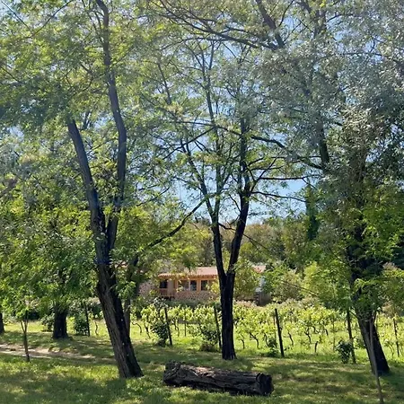 Quinta Da Mata De Baixo Dornes