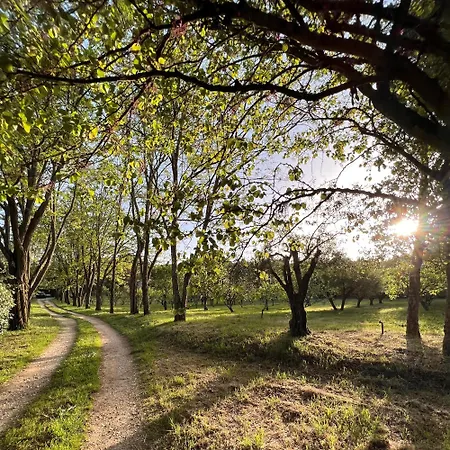 Quinta Da Mata De Baixo Farmház