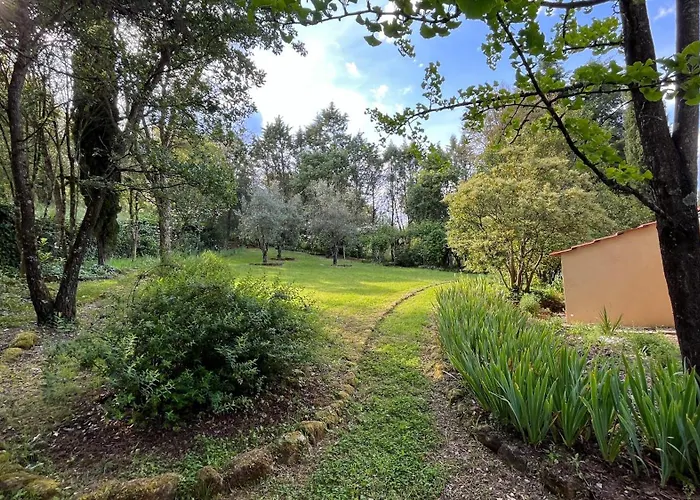 Quinta Da Mata De Baixo ファームステイ *