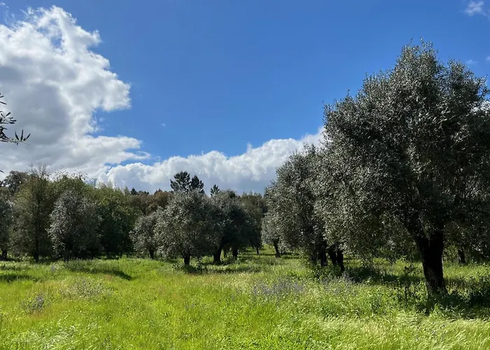 Quinta Da Mata De Baixo Фермерский дом Дорнеш