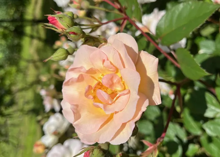 Quinta Da Mata De Baixo