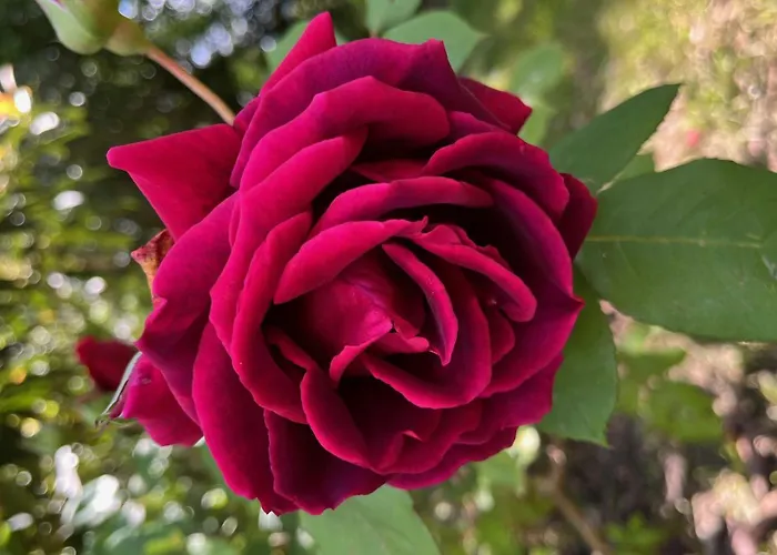 Quinta Da Mata De Baixo Фермерский дом *