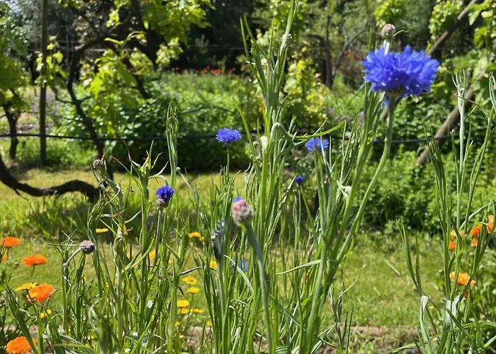 Quinta Da Mata De Baixo