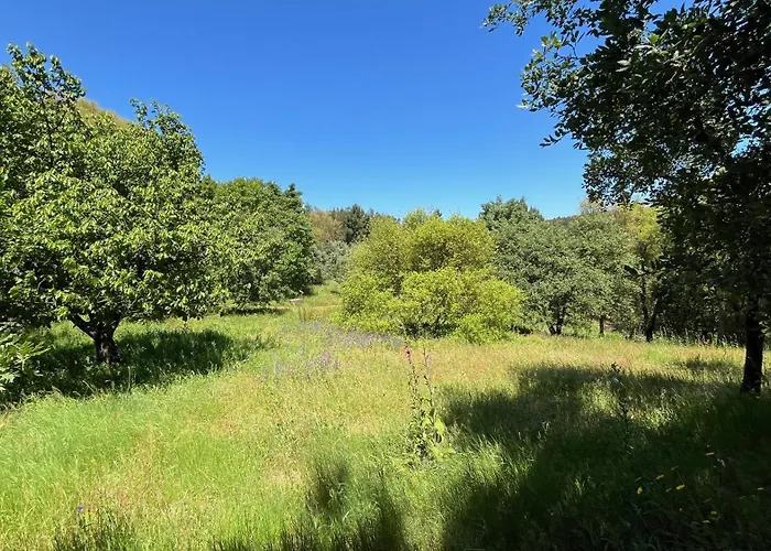 Quinta Da Mata De Baixo Фермерский дом *