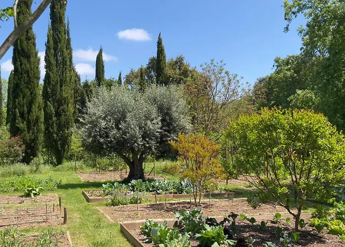 Quinta Da Mata De Baixo ドルネス