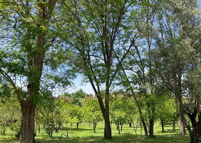 ファームステイ Quinta Da Mata De Baixo