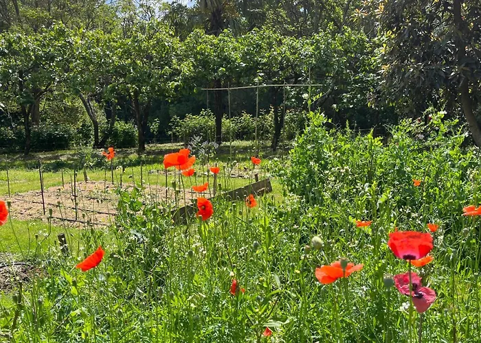 Quinta Da Mata De Baixo Фермерский дом Дорнеш