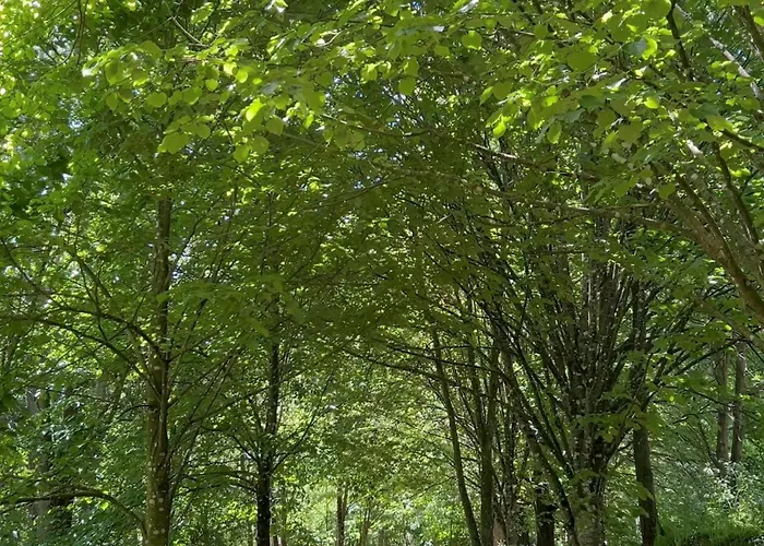 Quinta Da Mata De Baixo Фермерский дом