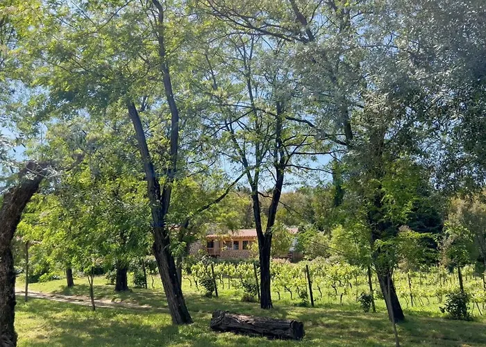 Quinta Da Mata De Baixo Дорнеш