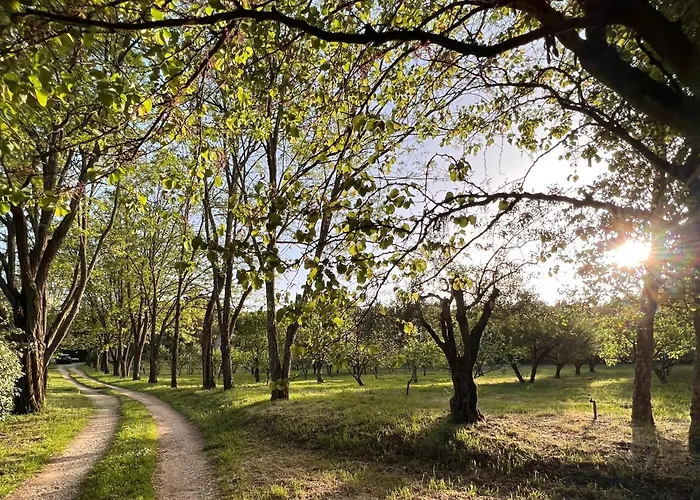 Quinta Da Mata De Baixo Фермерский дом
